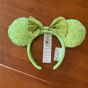 Hong Kong Disneyland Ears